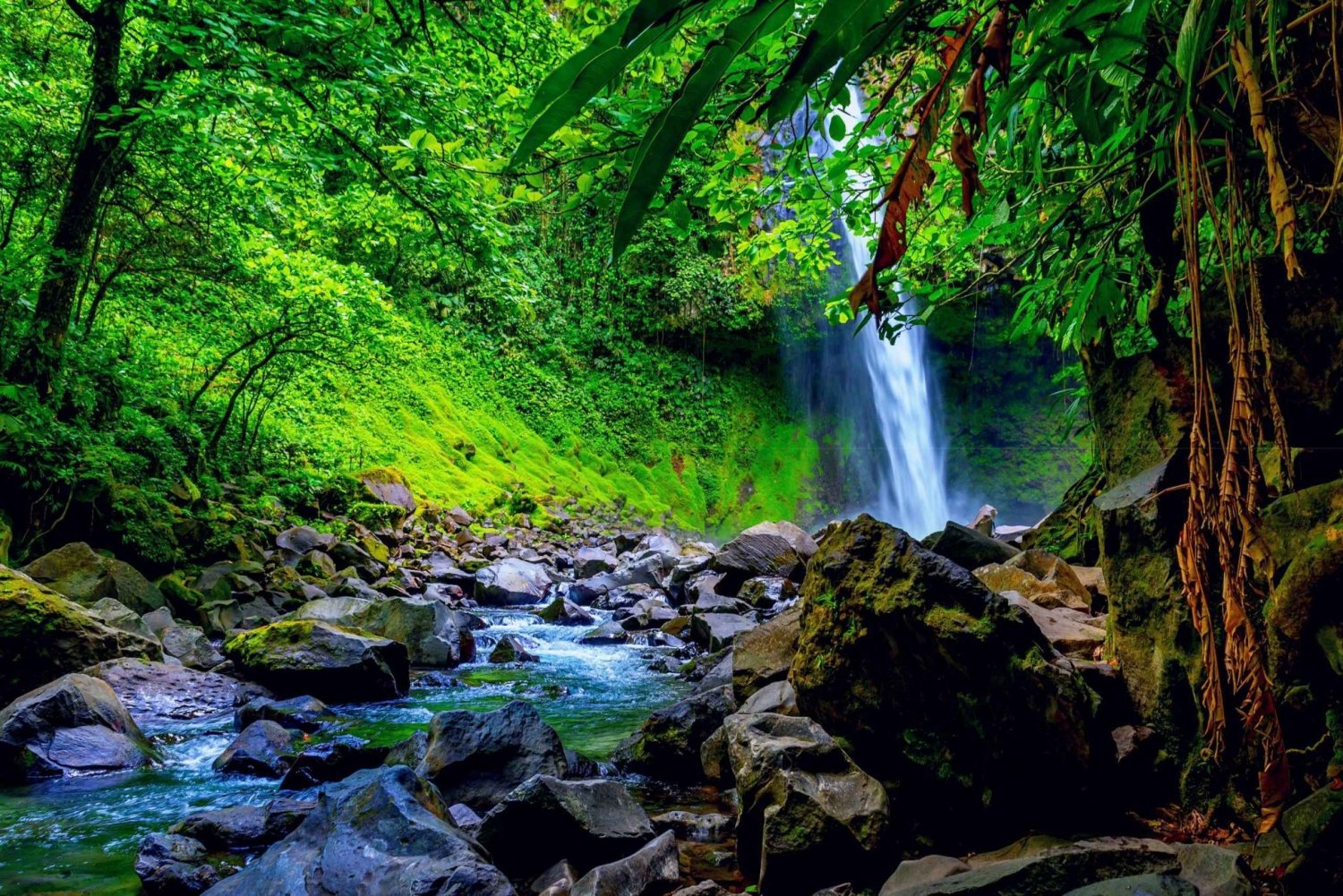 La Fortuna: Wasserfall-Erlebnis Geführte Wanderung La Fortuna