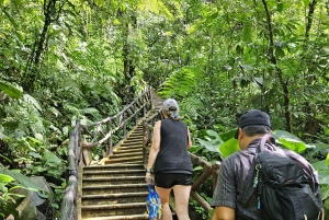La Fortuna: Wasserfall-Wanderung mit Transport