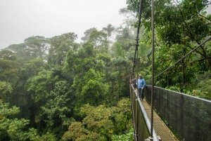 Combinaison cascade, volcan et ponts suspendus de La Fortuna