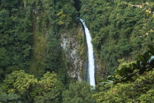 La Fortuna: Waterfall, Volcano and Hanging Bridges Tour
