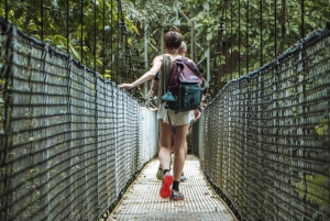 La Fortuna: Waterfall, Volcano and Hanging Bridges Tour