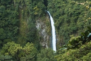 La Fortuna: Tour waterval, vulkaan en hangbruggen