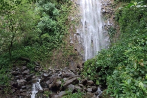 La Fortuna: Waterfall, Volcano and Hanging Bridges Tour