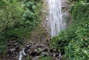 La Fortuna: Tur med vandfald, vulkaner og hængebroer