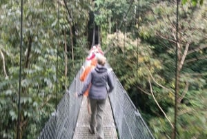 La Fortuna : Visite des chutes d'eau, du volcan et des ponts suspendus