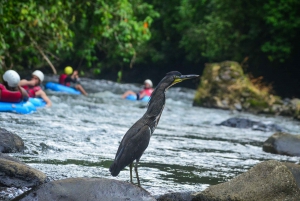 La Fortuna: Excursão de Tubulação de Água Branca com Guia e Traslados