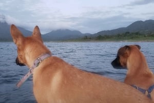 La Fortuna: *TOP* Safari-oplevelse i kajak med vilde dyr