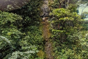 La Fortuna: tokkelbaanervaring en thermale baden