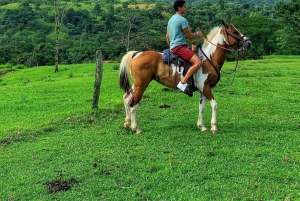 La Fortuna: Zip Line, Horseback Riding, and Tubing Combo