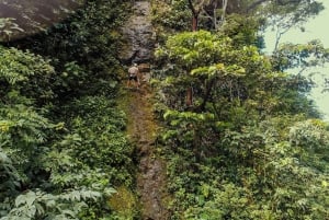 La Fortuna: Zip Line, Horseback Riding, and Tubing Combo