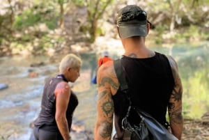 Du nord-ouest du Costa Rica : Visite à pied de la cascade de La Leona