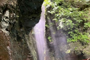 Desde el Noroeste de Costa Rica: Tour a pie por la catarata La Leona