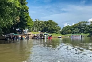 La Pavona: Shared Boat to Tortuguero Village