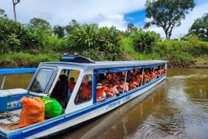 La Pavona: Shared Boat to Tortuguero Village