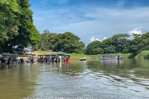 La Pavona: Felles båt til landsbyen Tortuguero