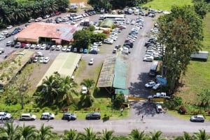 La Pavona: Felles båt til landsbyen Tortuguero