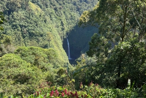 La Paz Waterfall and Cinchona Tour