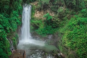 La Paz Waterfall and Cinchona Tour