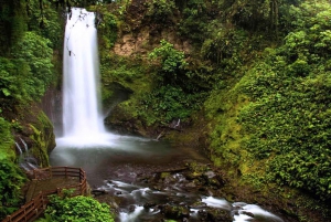 La Paz Waterfall Gardens Billett for dagspass