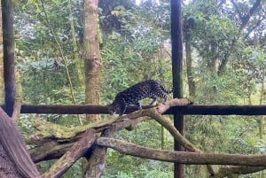 La Paz Waterfall Gardens Billett for dagspass