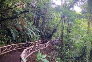 La Paz Waterfall Gardens Billett for dagspass