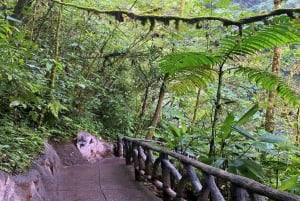 La Paz Waterfall Gardens Billett for dagspass