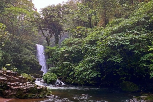 La Paz Waterfall Gardens Billett for dagspass