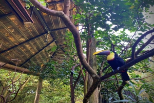 La Paz Waterfall Gardens Day Pass Ticket