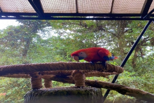 La Paz Waterfall Gardens Day Pass Ticket