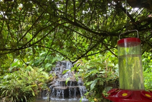 La Paz Waterfall Gardens Day Pass Ticket