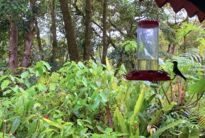 La Paz Waterfall Gardens Day Pass Ticket