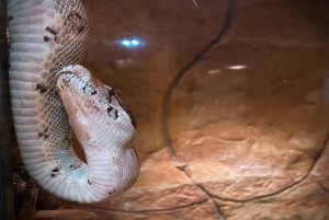 La Paz Waterfall Gardens Day Pass Ticket