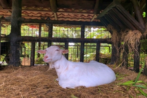 La Paz Waterfall Gardens Day Pass Ticket