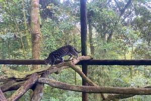 La Paz Waterfall Gardens Day Pass Ticket