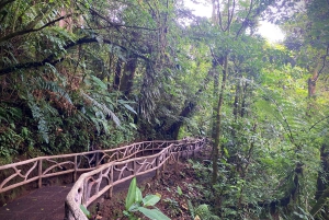 La Paz Waterfall Gardens Day Pass Ticket