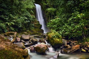 Fra San Jose: Guidet dagstur til La Paz Waterfall Gardens