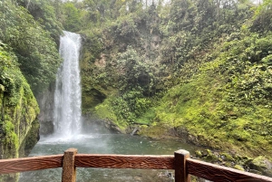 Fra San Jose: Guidet dagstur til La Paz Waterfall Gardens