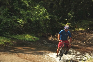 Lago Arenal: excursão combinada de caiaque e bicicleta
