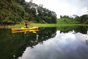Lago Arenal: Combo de Kayak y Bicicleta