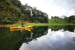 Lake Arenal: Kayaking and Biking Combo Tour