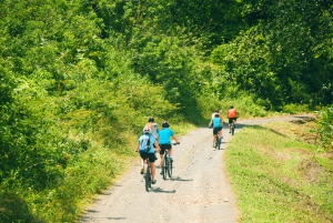Lake Arenal: Stand Up Paddle Boarding and Biking Day Trip