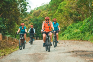 Lago Arenal: Excursión de un día en Stand Up Paddle Boarding y Bicicleta