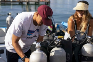 Las Catalinas: Odkryj nurkowanie we Flamingo i Tamarindo