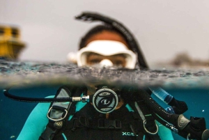 Las Catalinas: Odkryj nurkowanie we Flamingo i Tamarindo