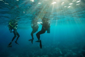 Las Catalinas: Odkryj nurkowanie we Flamingo i Tamarindo