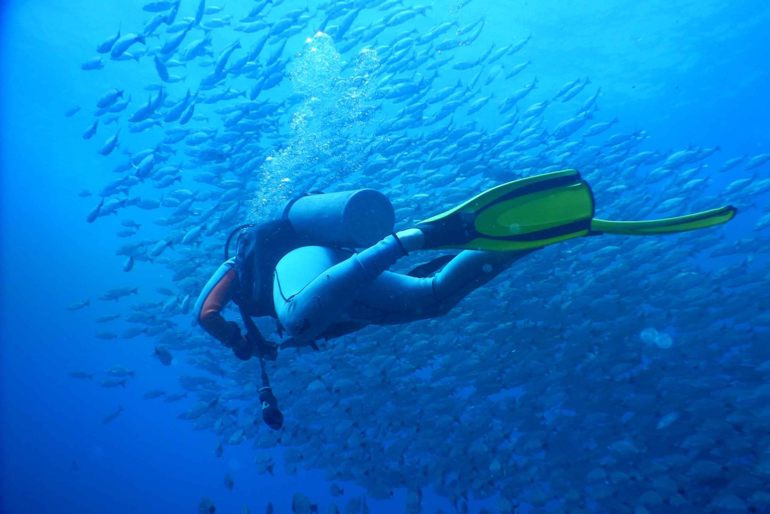 Isole Las Catalinas: Discover Scuba Dive Trip