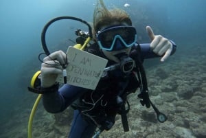 Las Catalinas -saaret: Tutustu sukellukseen -retki