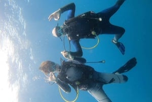 Las Catalinas -saaret: Tutustu sukellukseen -retki