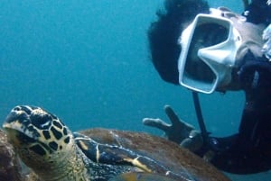 Las Catalinas -saaret: Tutustu sukellukseen -retki