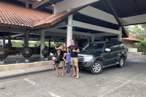Liberia or LIR Airport: Transfer to La Fortuna de Arenal